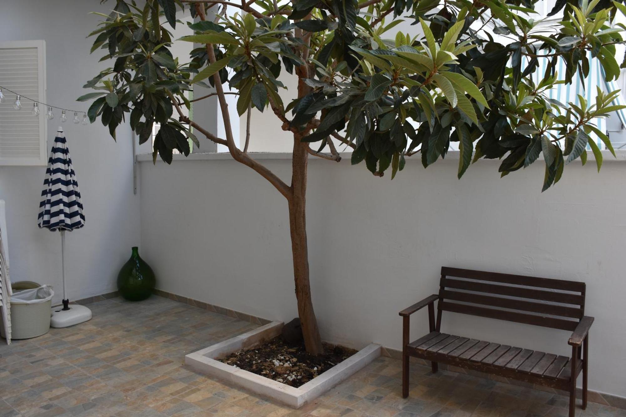 Casadigiu Apartment Bari